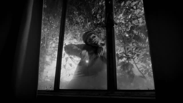 Mysterious figure peers through window in shadows.