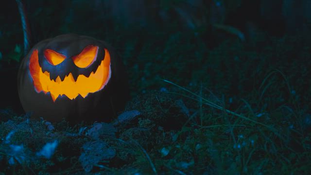 Halloween pumpkin in the garden.
