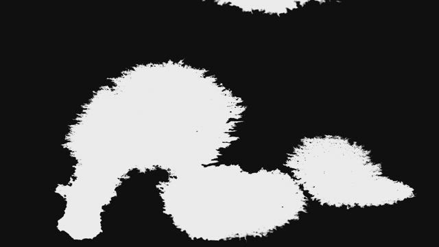 White and black ink underwater.